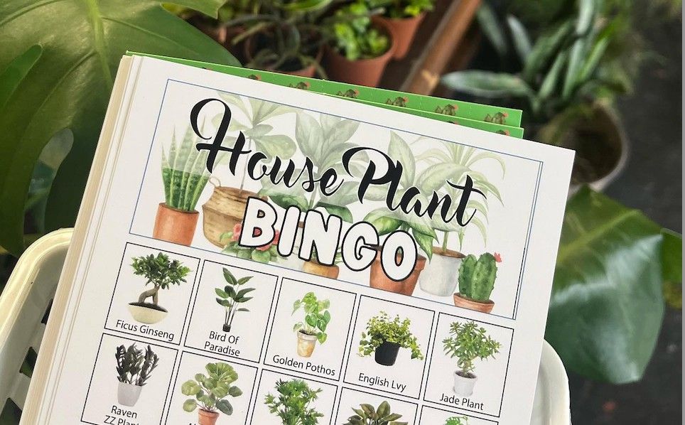 PLANT BINGO!