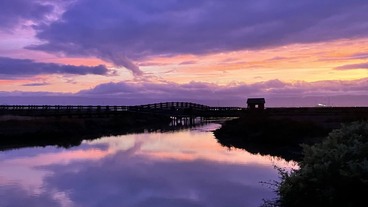 Twilight Marsh Walk