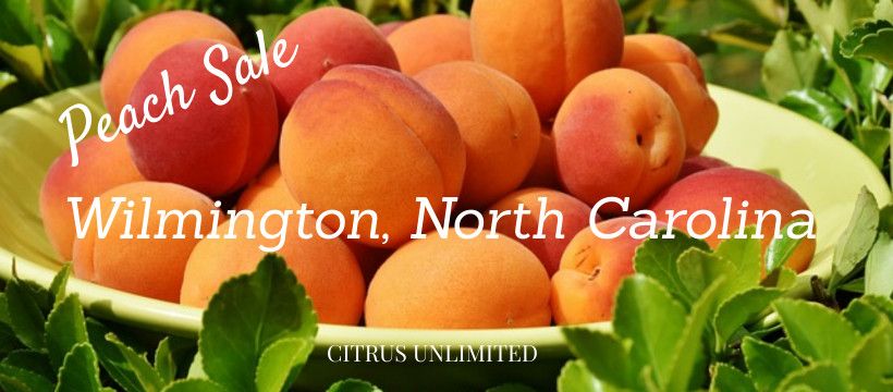 Peach Sale - Wilmington, NC from 3:00 - 5:00 pm at Independence Mall