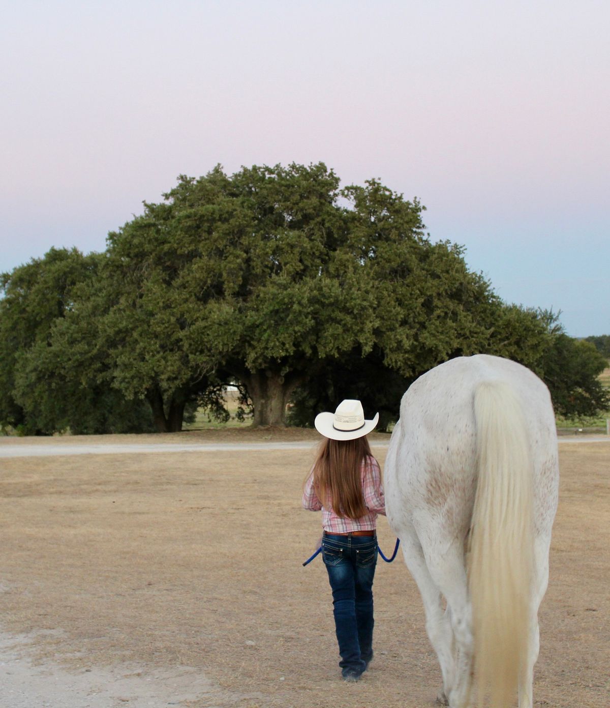 Horse Show Information Meeting