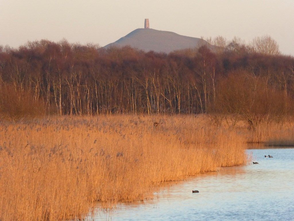 Step into Autumn - guided walk at RSPB Ham Wall