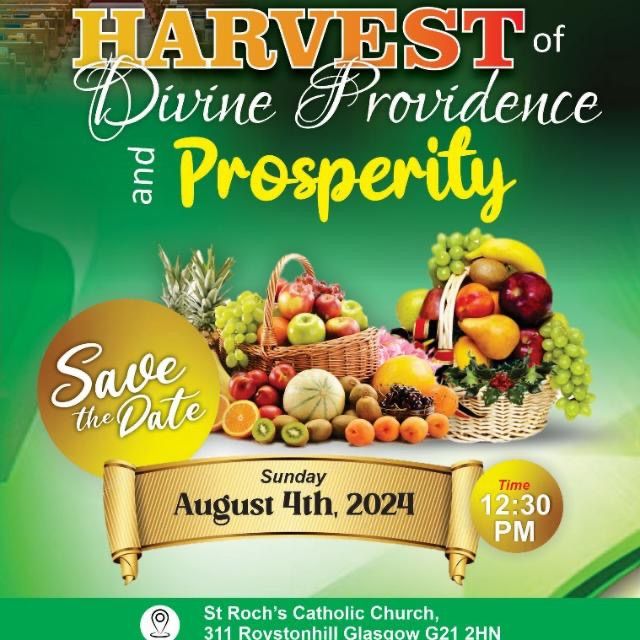 Harvest & Bazaar