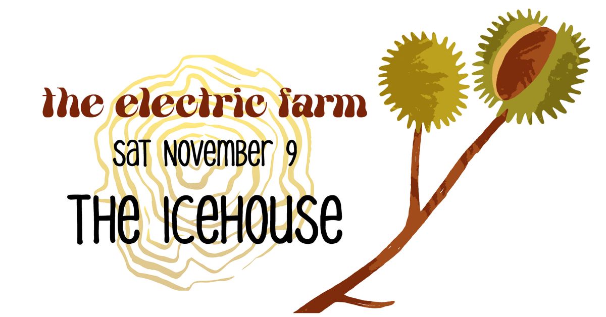 The Electric Farm Live at The IceHouse