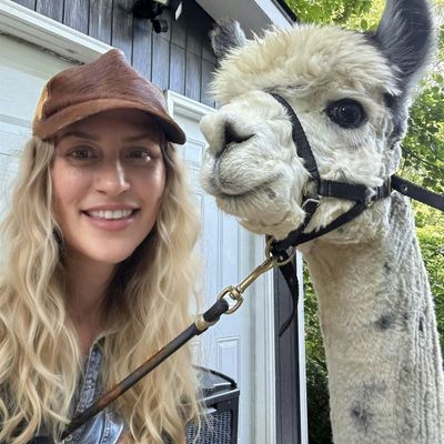 Fiber, Feather & Fur