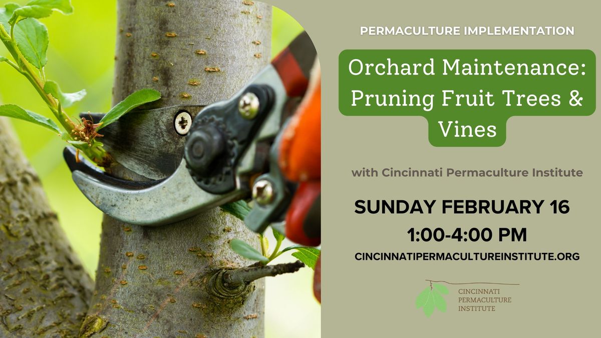 Permaculture Skills: Orchard Maintenance