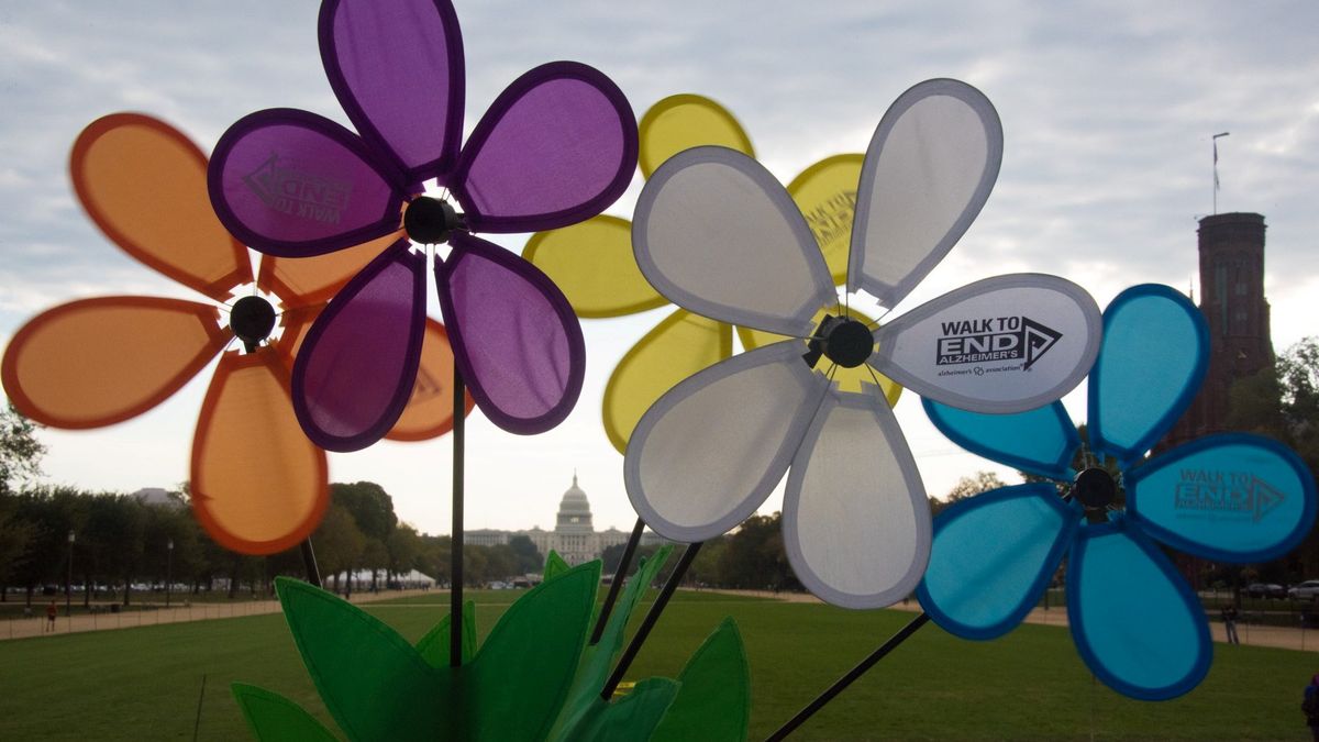 Walk to End Alzheimer's Washington, DC