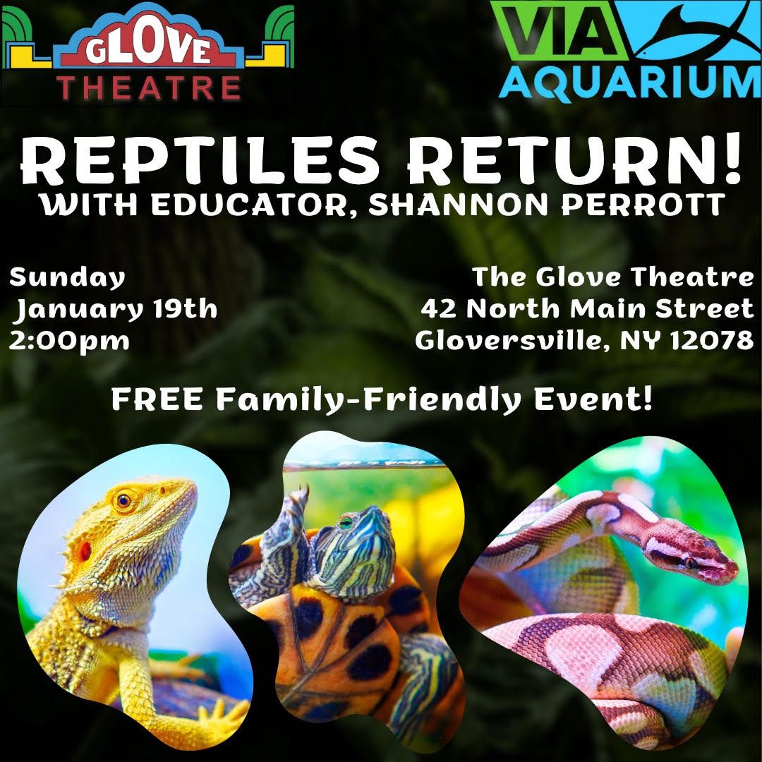 Reptiles Return!