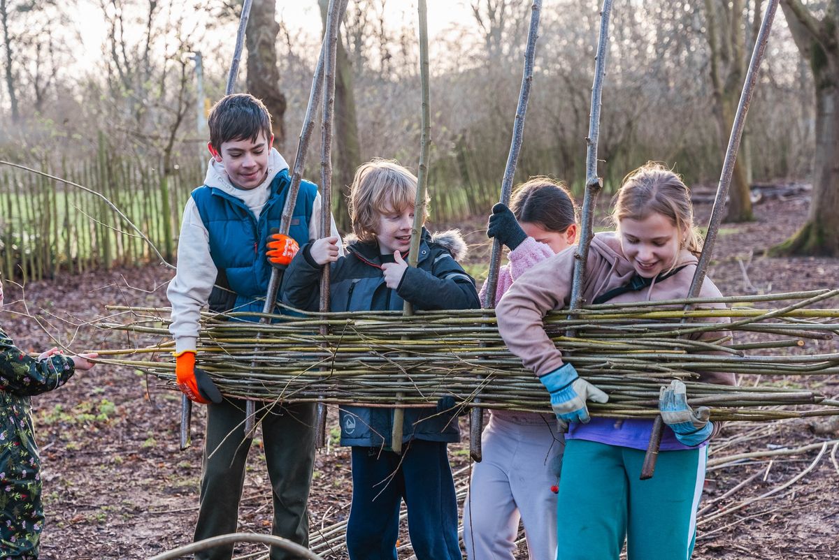 Wild Home Educators Forest School 11 - 14yrs