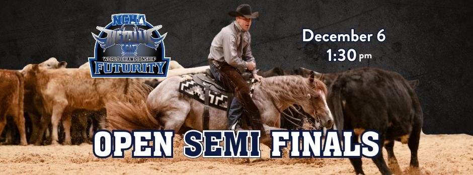 Open Semi Finals - 2024 NCHA Metallic Cat World Championship Futurity