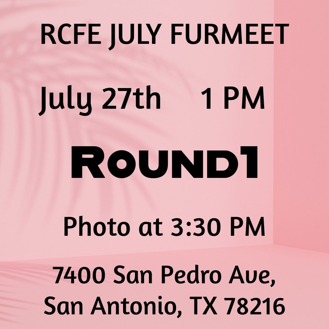 Furries at Round1 San Antonio July 2024 Furmeet!, Round 1, 7400 San