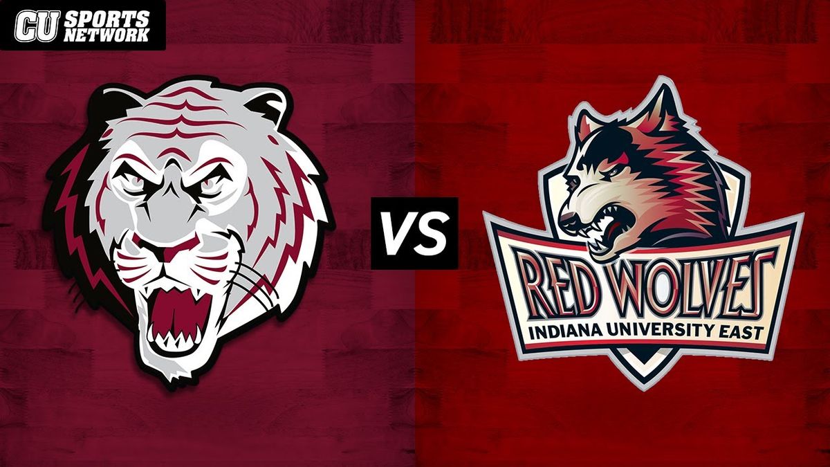 Campbellsville University Tigers at Western Kentucky Hilltoppers Mens Basketball at Diddle Arena