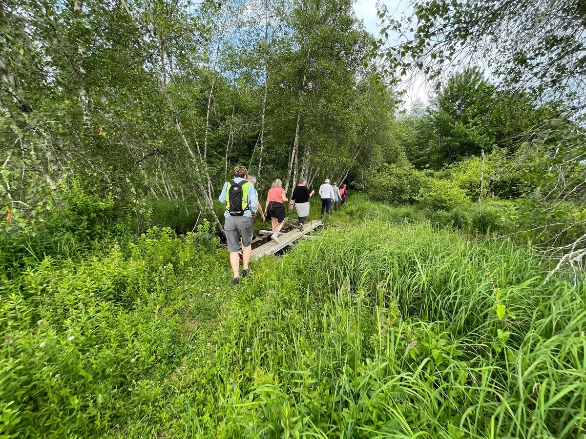 Avondale Trail System