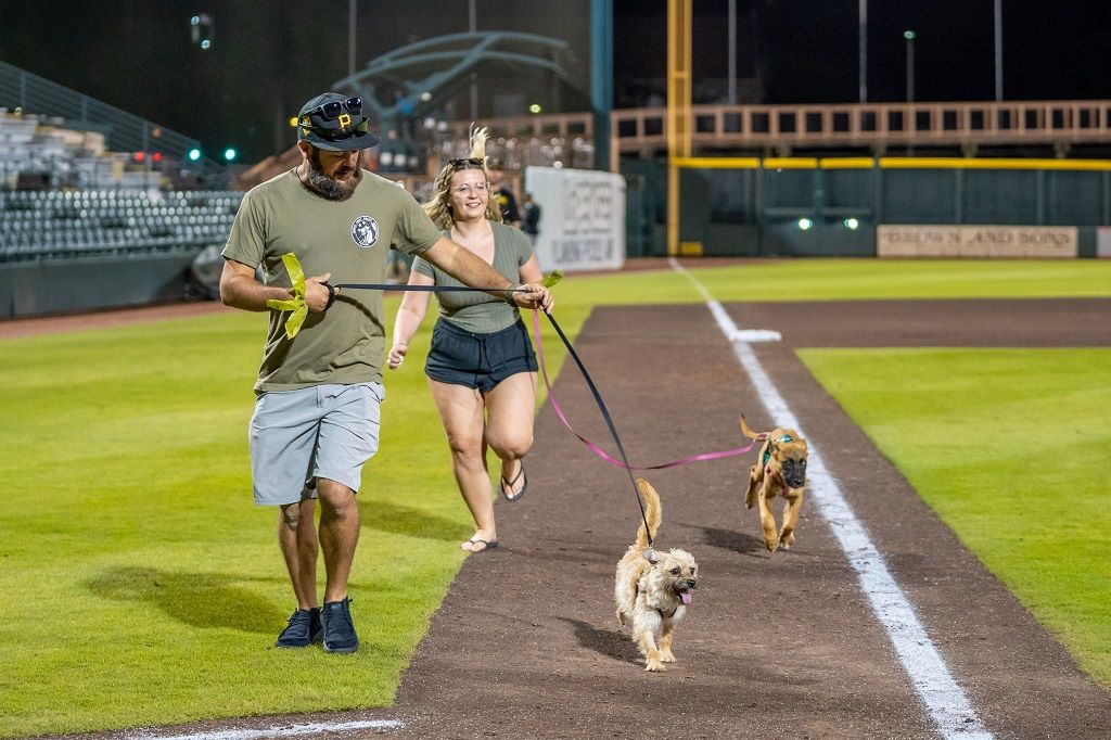 \u26be\u26be BRADENTON MARAUDERS BARK IN THE PARK | Dog-Friendly \ud83d\udc3e\ud83d\udc3e