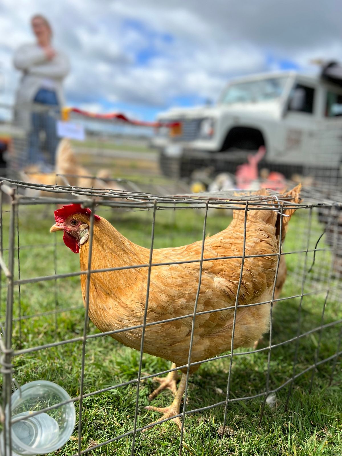 Devonport Farmers Market 