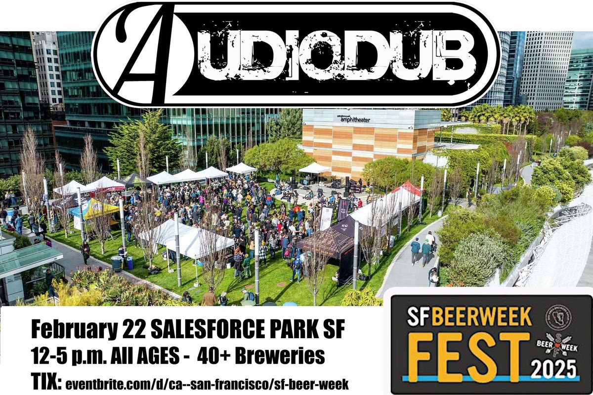 Audiodub at SF Beer Fest - Salesforce Park San Francisco 