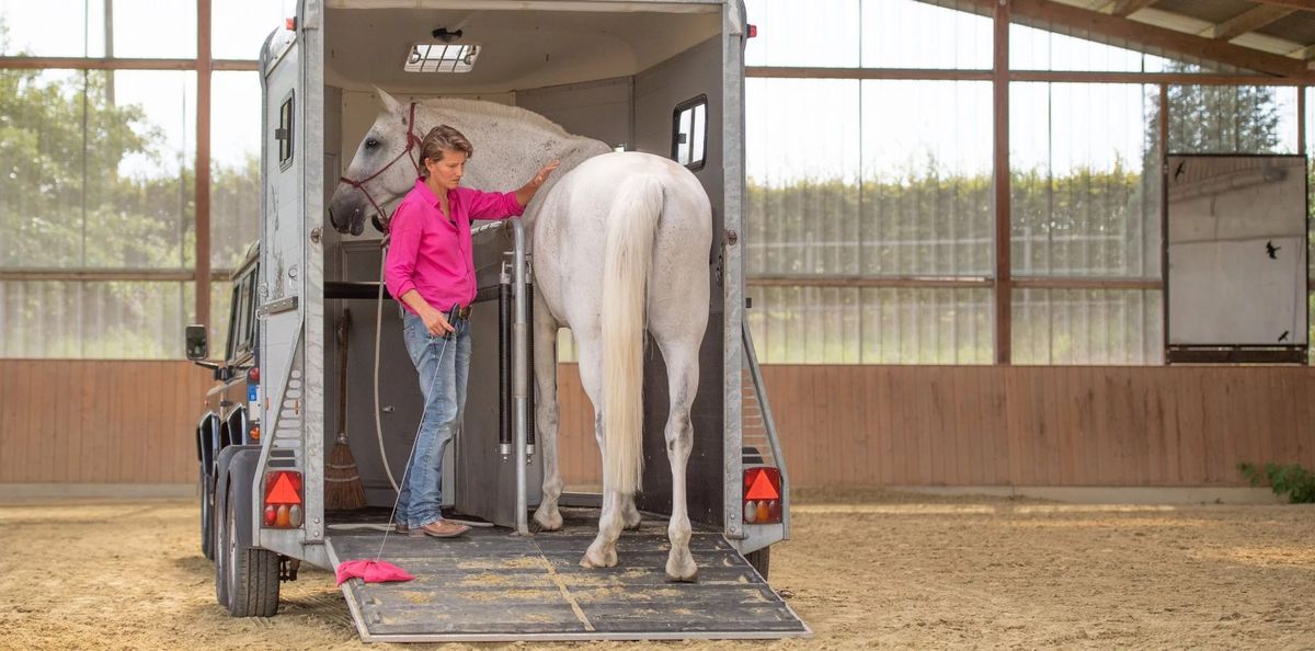 Trailer Loading Clinic