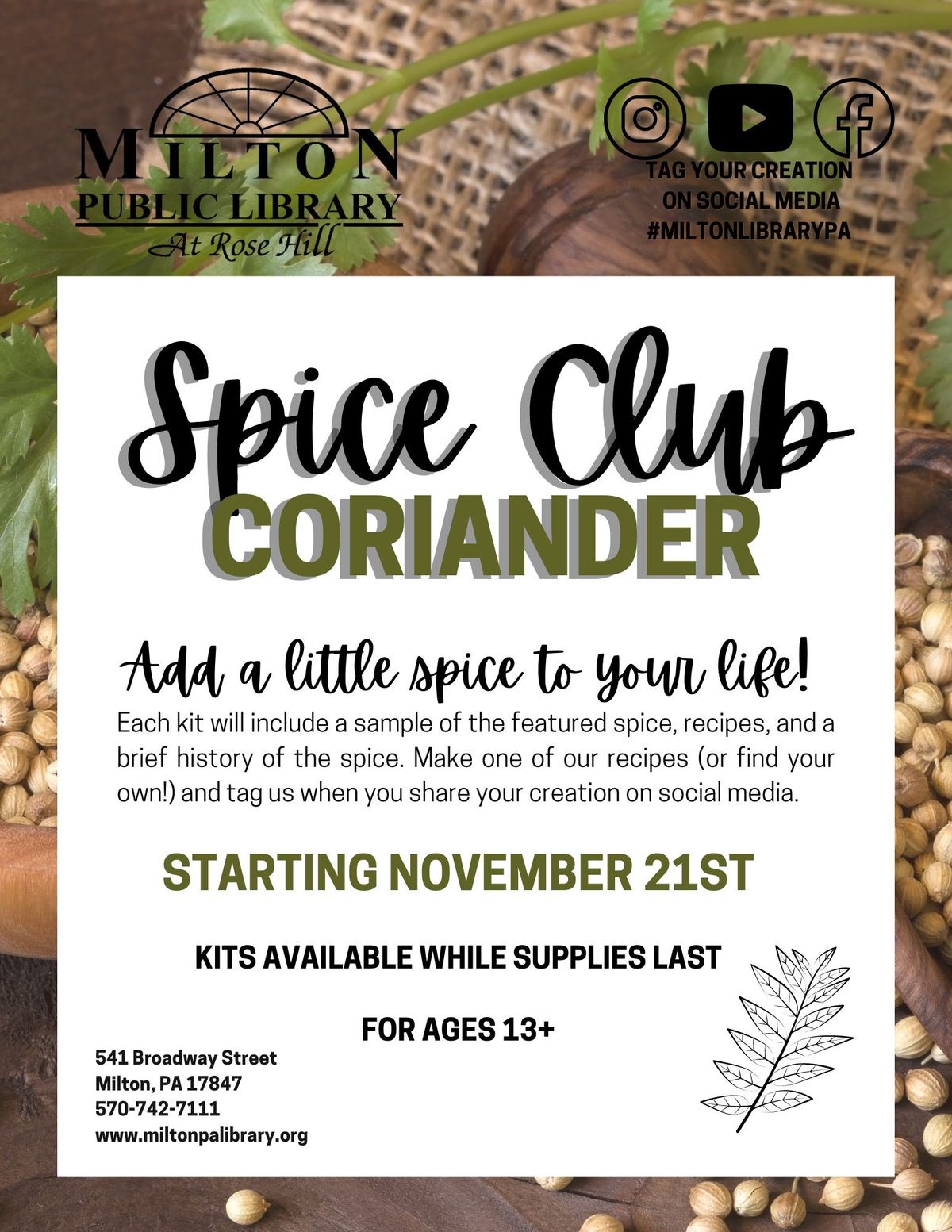 Spice Club:Corriander