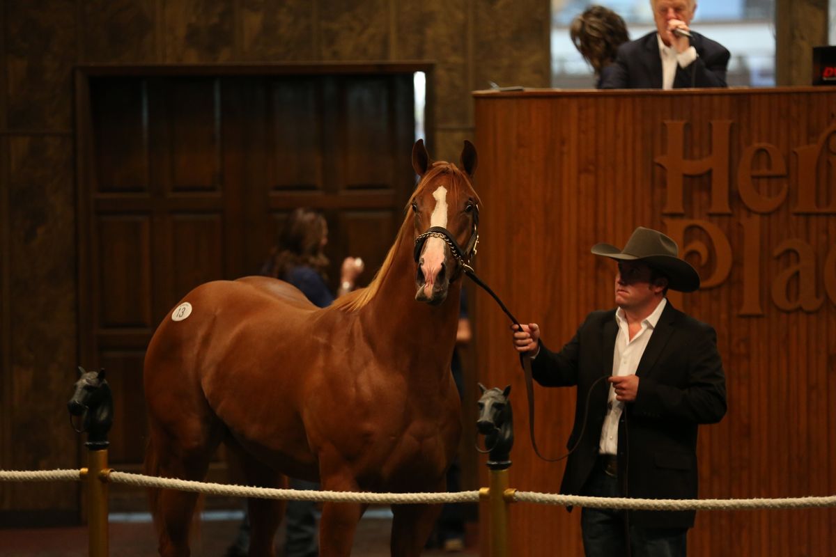2024 Heritage Place Yearling Sale