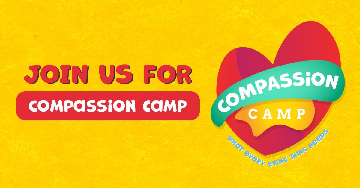 Compassion Camp Vacation Bible School