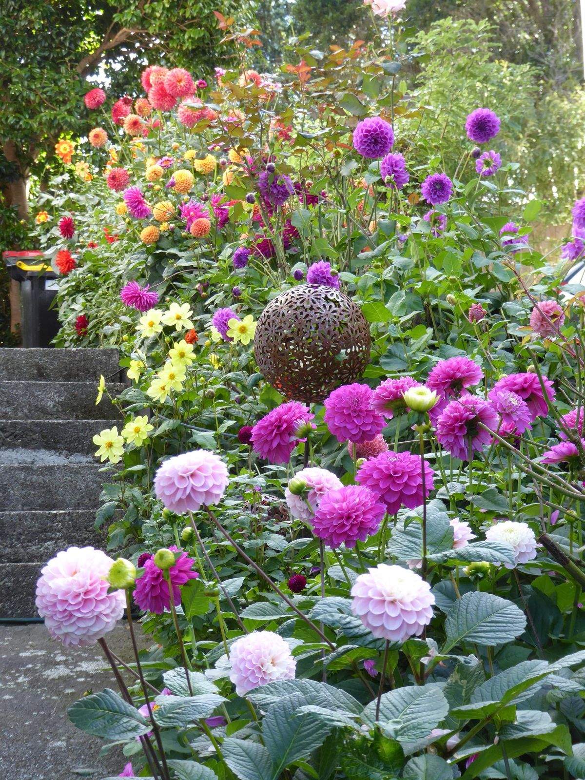 Late summer\/early autumn Garden open days