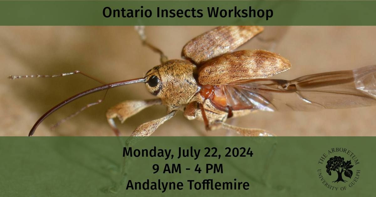 Ontario Insects Workshop!