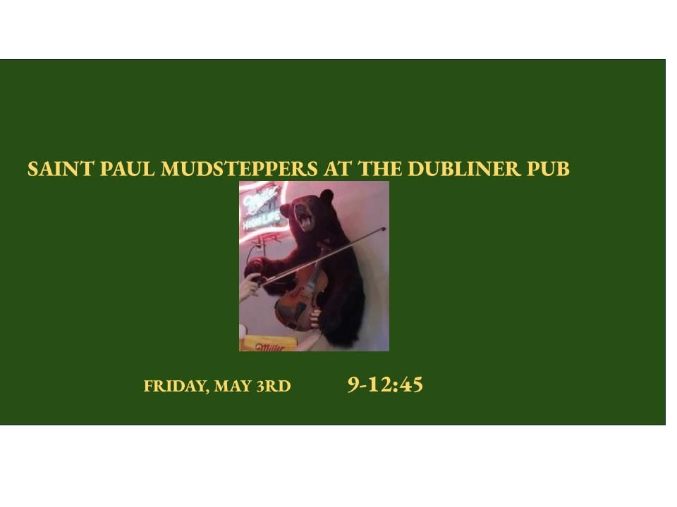 Friday Night at the Dubliner Pub 
