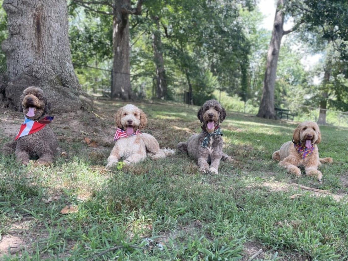 Dog Day at the Park with the Statesville Recreation & Parks Department