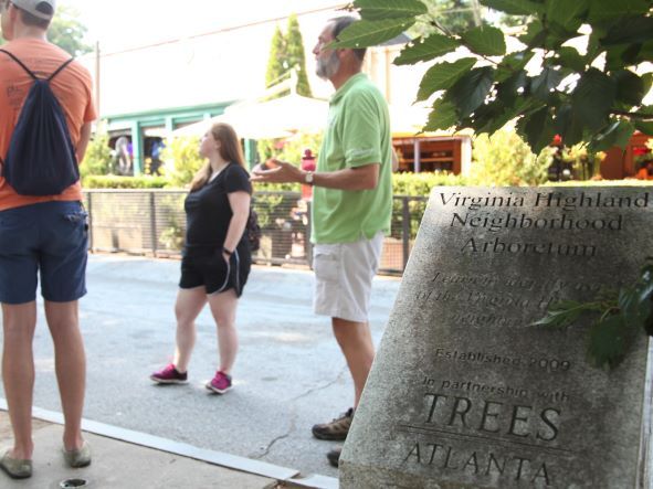 Tree Tour: Virginia-Highland Neighborhood Arboretum