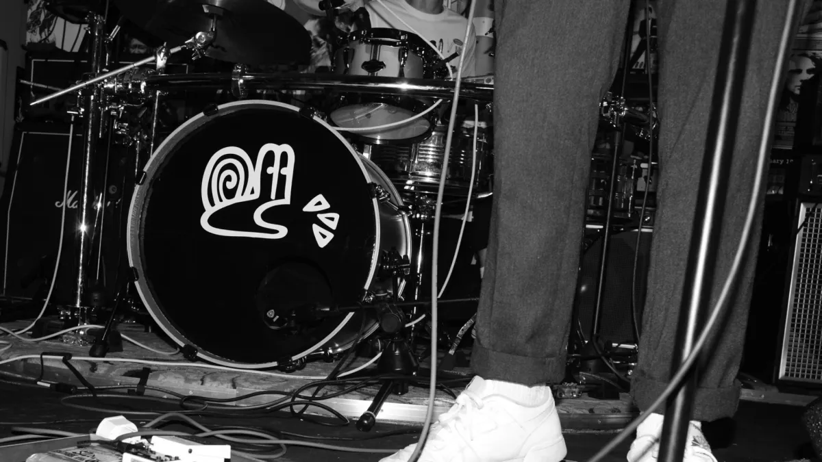 Bilk in Sheffield