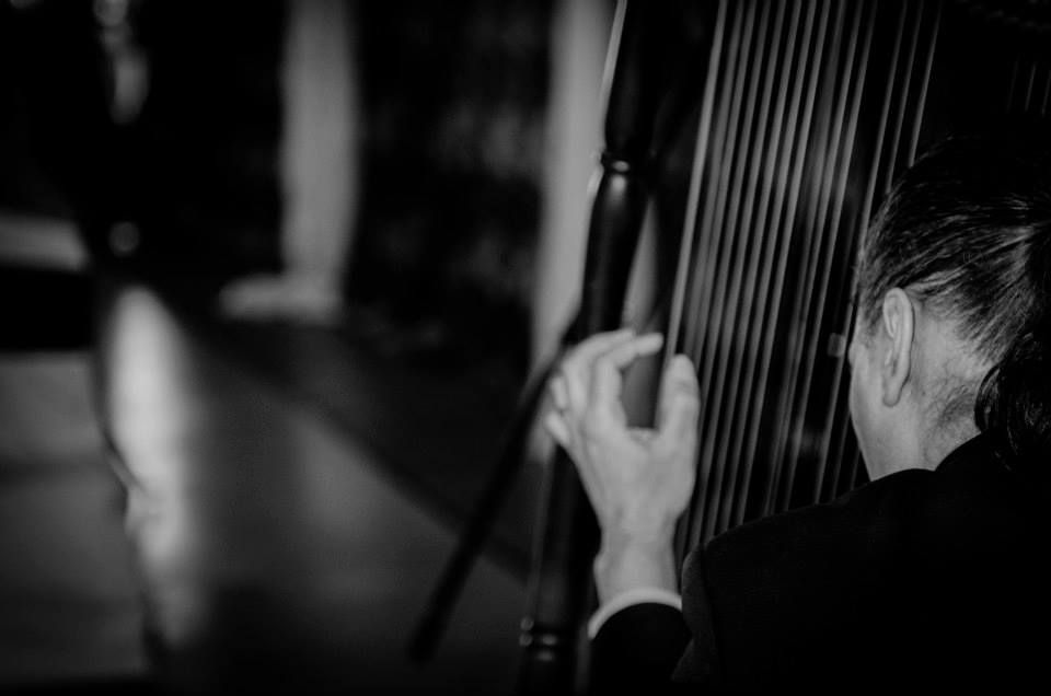 Carlos Guedes Upbeat Harpist Performing LIVE