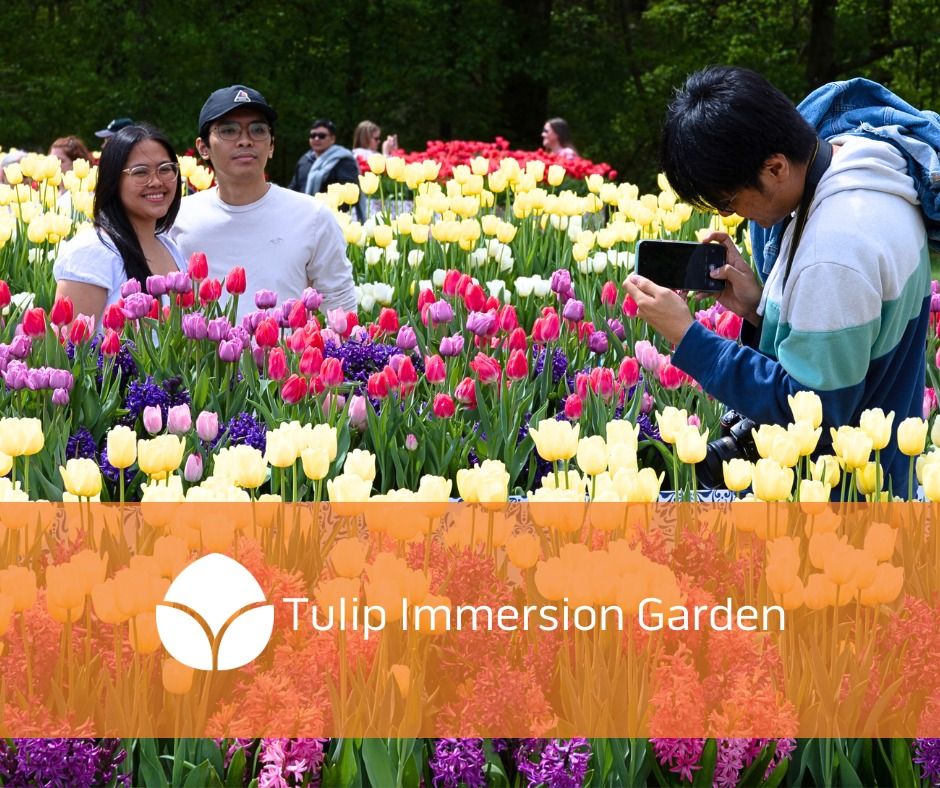 Tulip Immersion Garden presented by Tulip Time