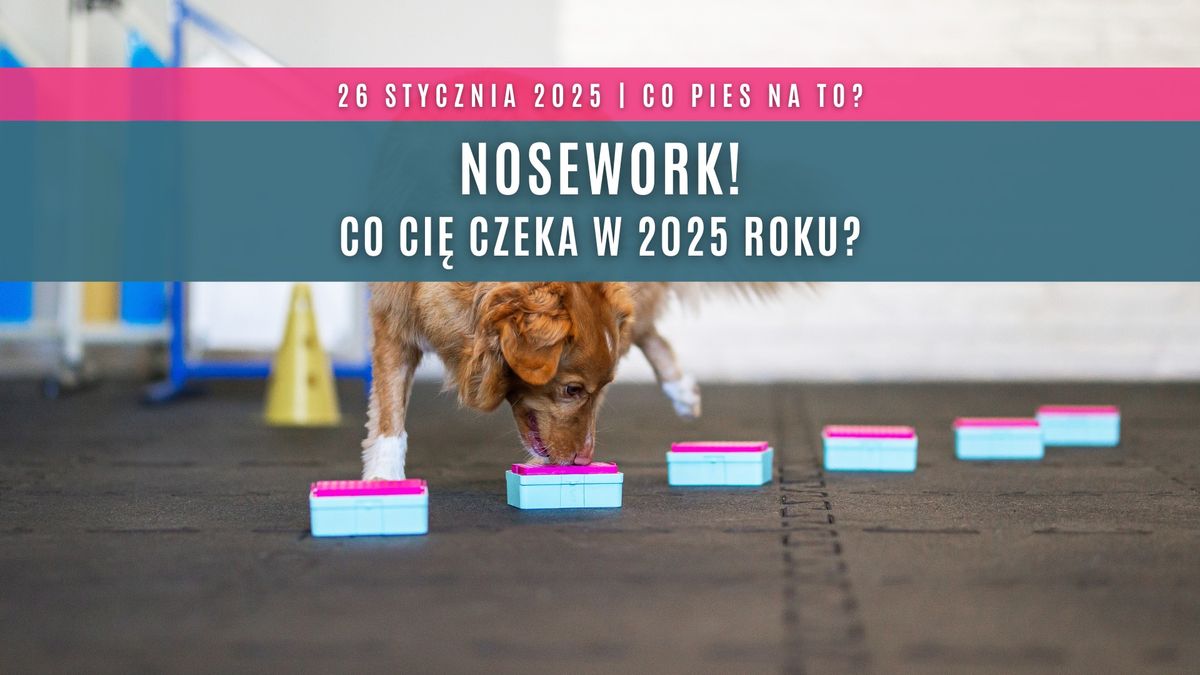 Nosework: Co Ci\u0119 czeka w 2025 roku? (WYK\u0141AD!)