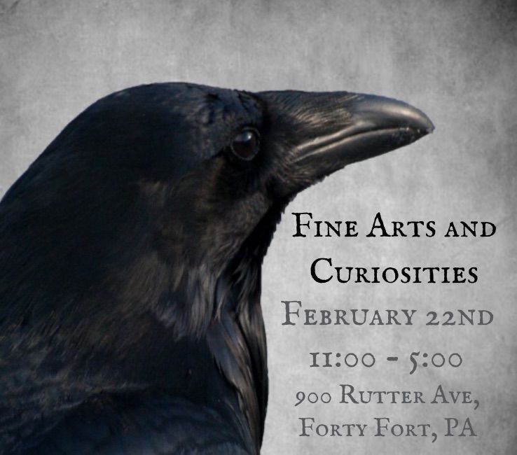 Fine Arts and Curiosities 