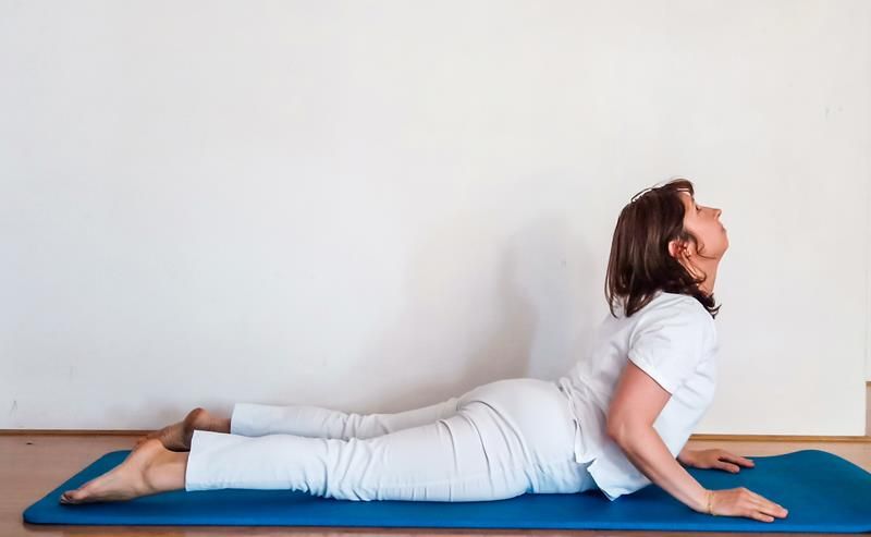 Gentle yoga for beginners Term 2