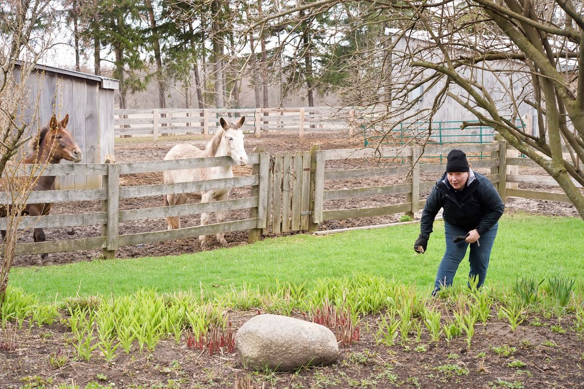 Volunteer Alert! Join Us for a Community Work Day at the DSC!