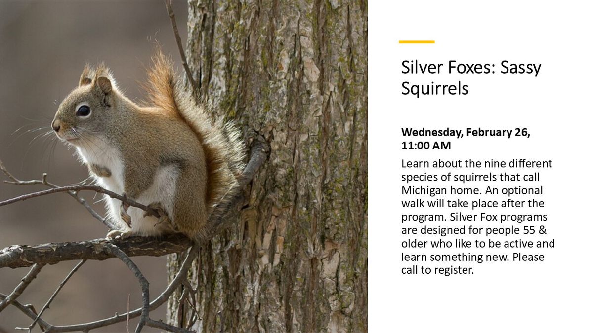 Silver Foxes: Sassy Squirrels