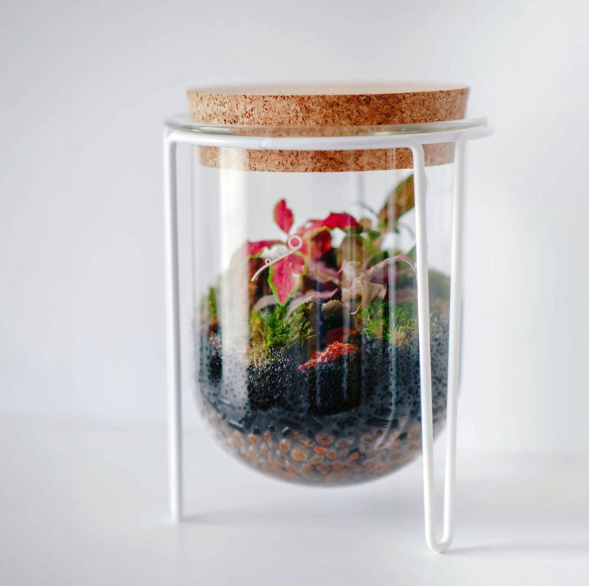 Autumn Terrarium Workshop