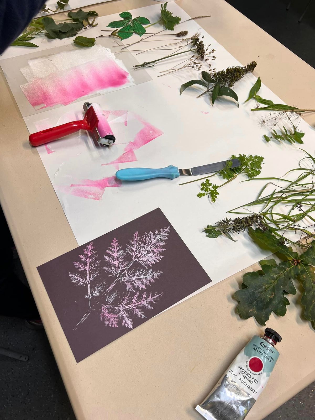 A Nature Printing Workshop with Louise Earnshaw on Sunday 10th November, 2024 10.30 - 12.30pm 