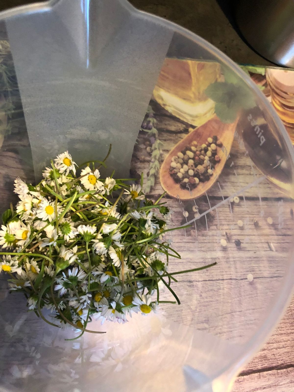 Herbal Magic - Foraging Workshop 