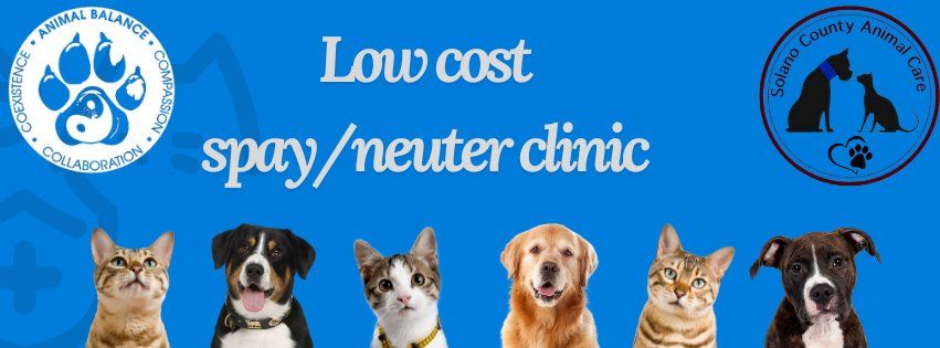 Low Cost Spay and Neuter Clinic with Animal Balance