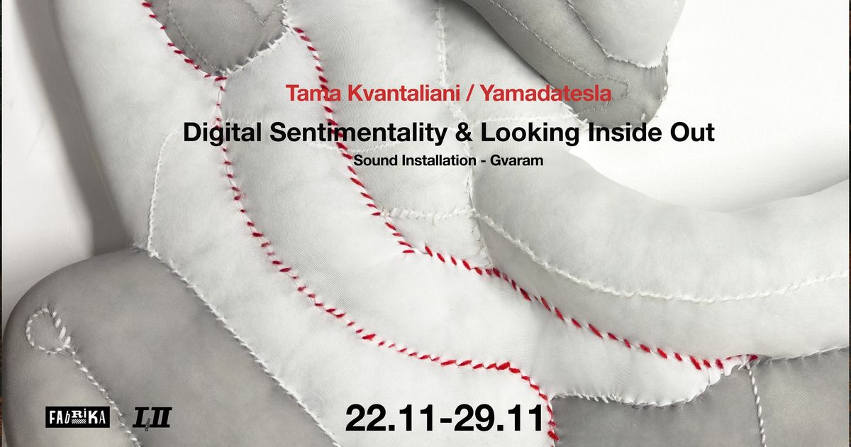 Tama Kvantaliani\/Yamadatesla | Digital Sentimentality and Looking Inside Out @Fabrika Project Space