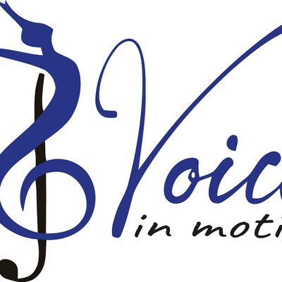 Voice in Motion