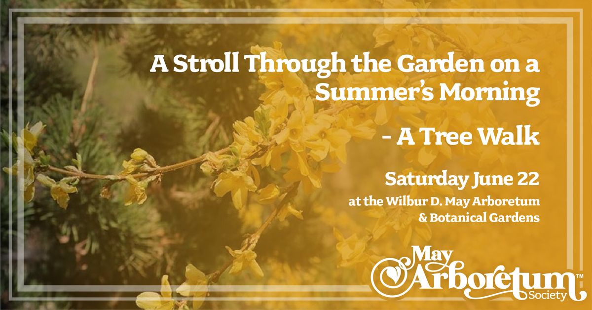 A Stroll Through the Garden on a Summer's Morning - A Tree Walk