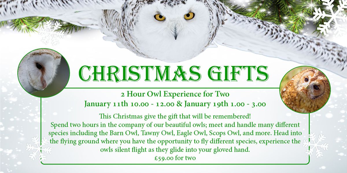 Christmas Gifts - Two Hour Owl Experience for Two