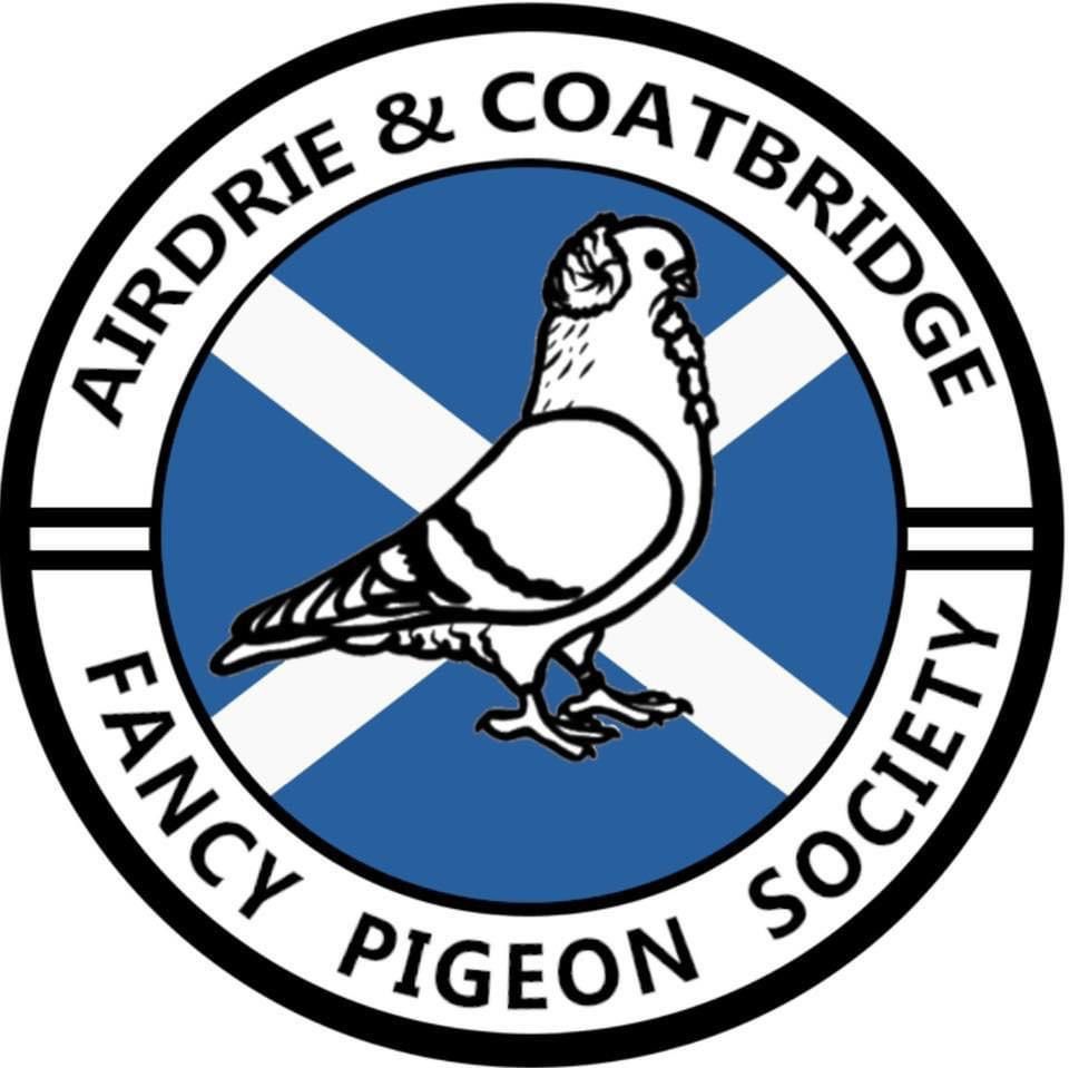 Airdrie & Coatbridge Fancy Pigeon Club Show