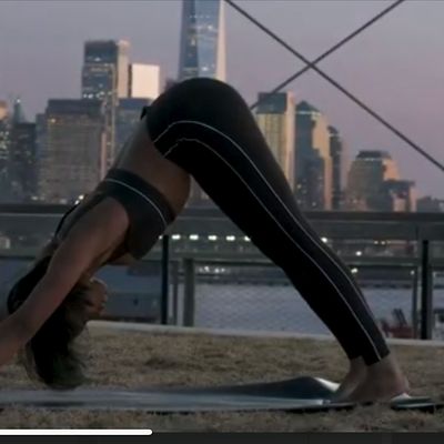 Asana Ashley