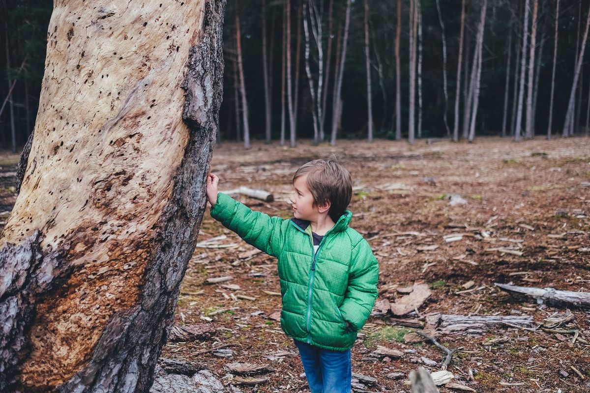 U-Play: Fantail Nature School