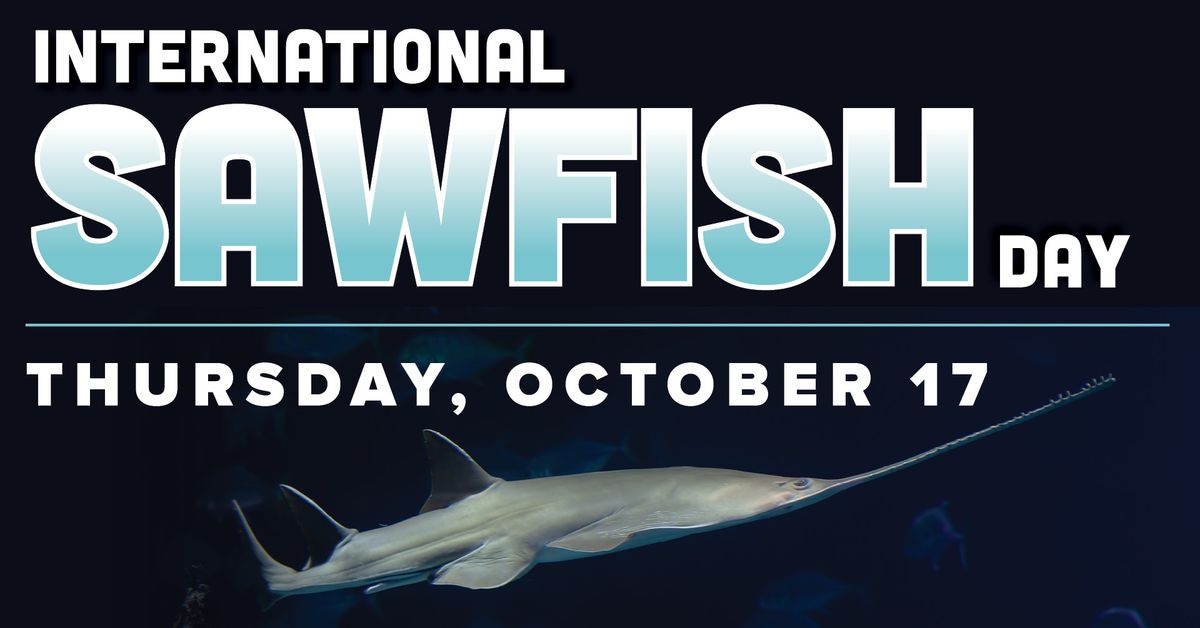 International Sawfish Day