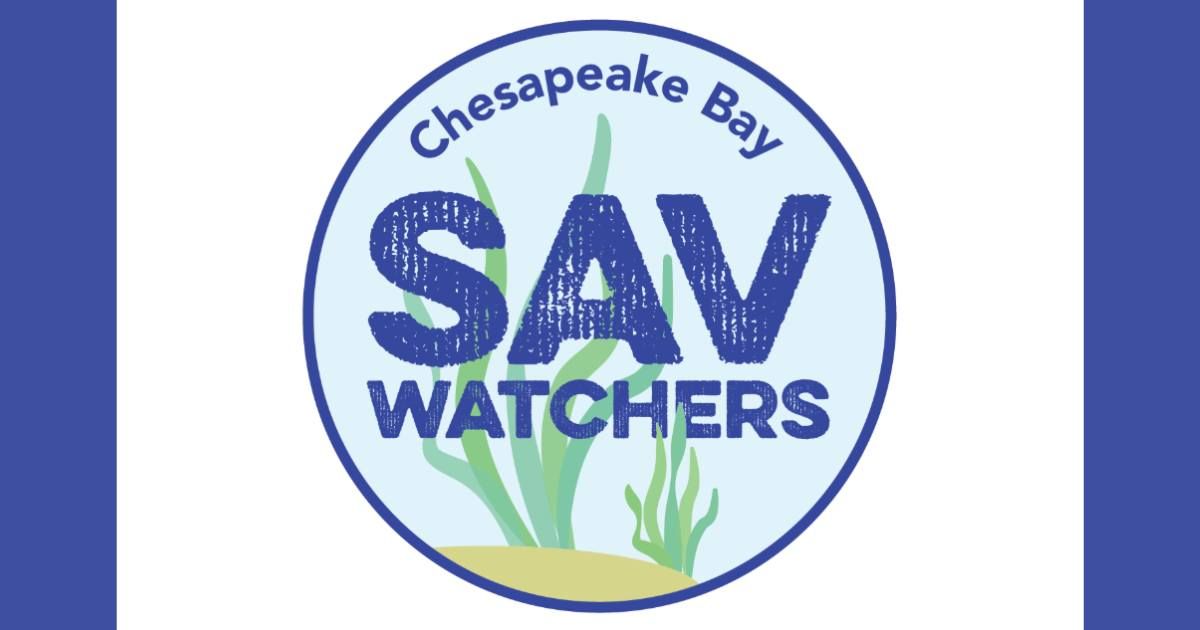Submerged Aquatic Vegetation (SAV) Watcher Training