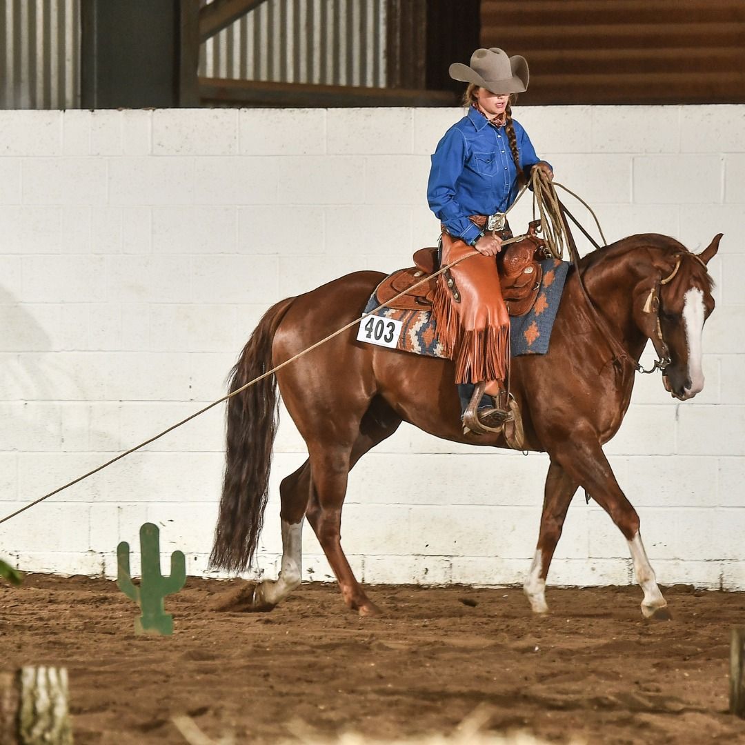 Versatility Ranch Horse Clinic